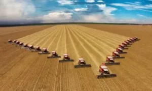 22 Harvesters working in soybean harvest in the state of Mato Grosso, Brazil