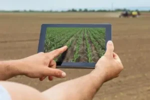 Smart agriculture. Farmer using tablet corn planting. Modern Agriculture concept.