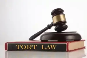 tort book, hammer and gavel on top