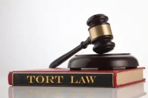 gavel hammer on top of law book