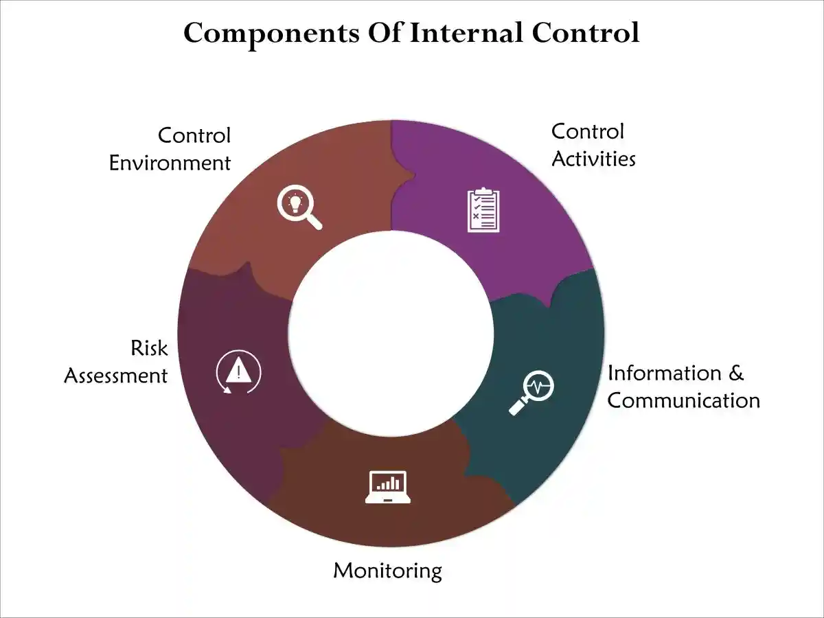 Components of internal controls chart used in Premature Revenue Recognition