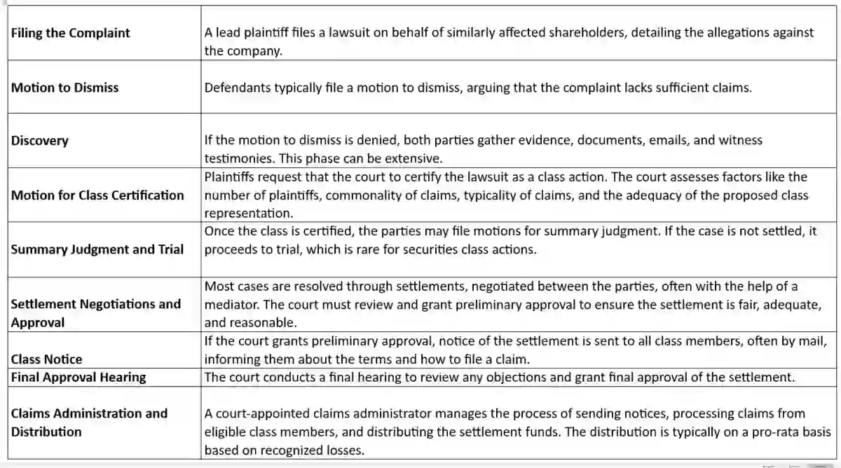 Securites Litigation Process chart used in The Consequences of Weak Corporate Governances