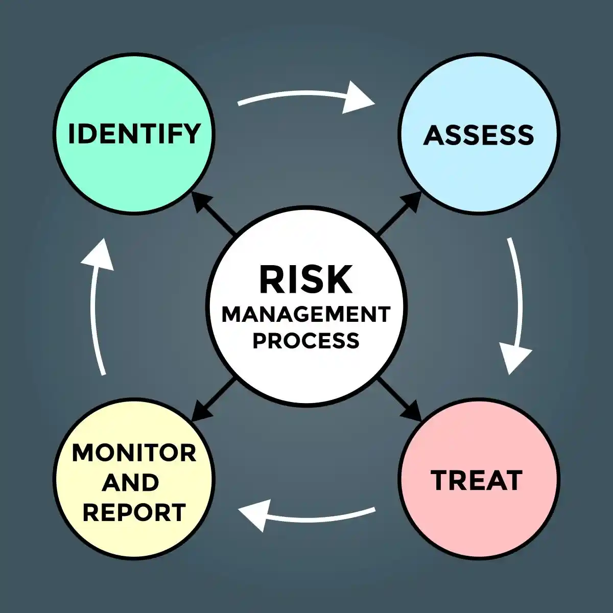 risk management procedures used in What Is an Accounting Misstatement?