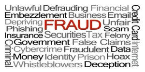 fraud word cloud used in Securities Fraud Litigation