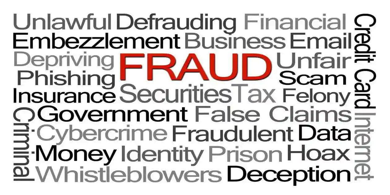 fraud word cloud used in Securities Fraud Litigation
