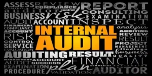 Internal audit word cloud used in Avantor class action lawsuit