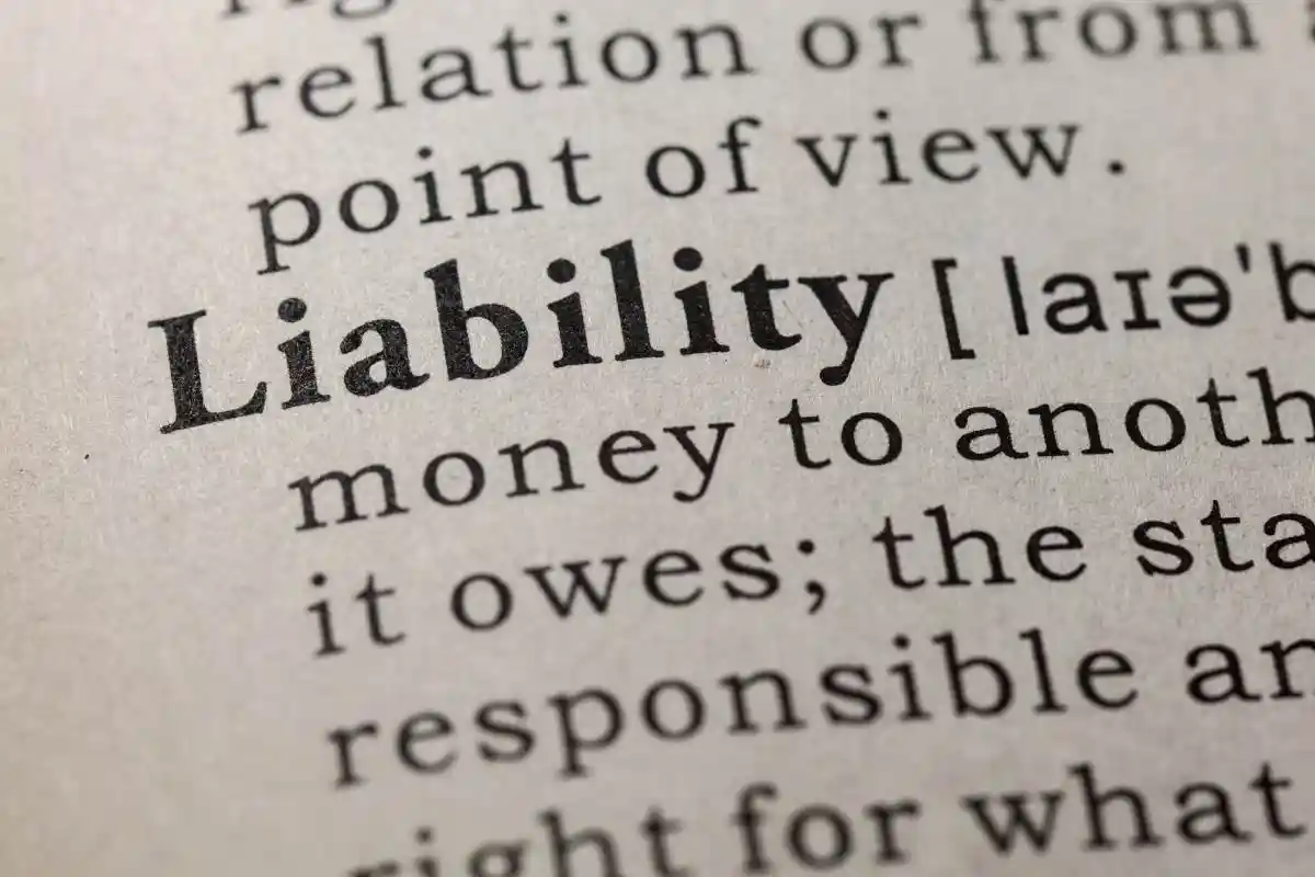 Fake Dictionary, Dictionary definition of the word liability. including key descriptive words. used in Concealing Liabilities in Financial Reporting 
