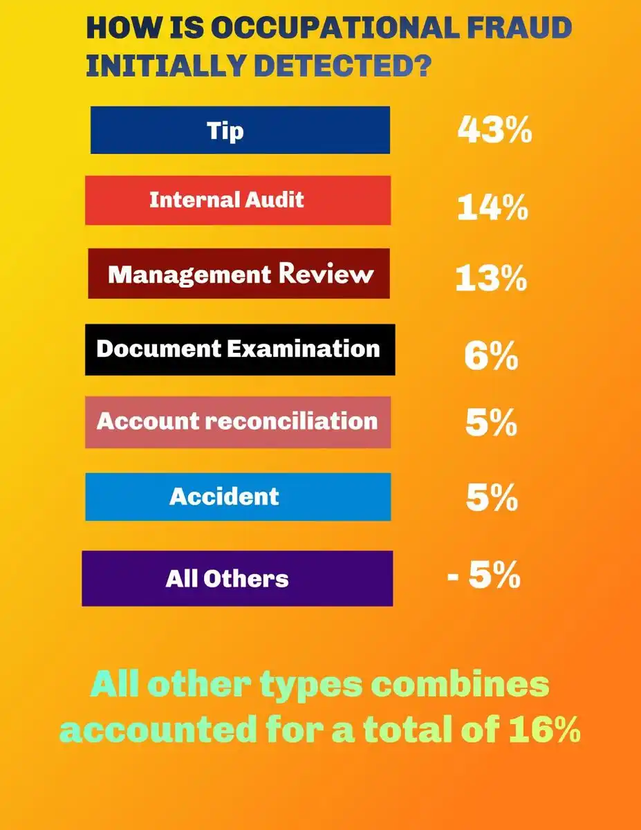 how fraud reported used in Accounting Chicanery