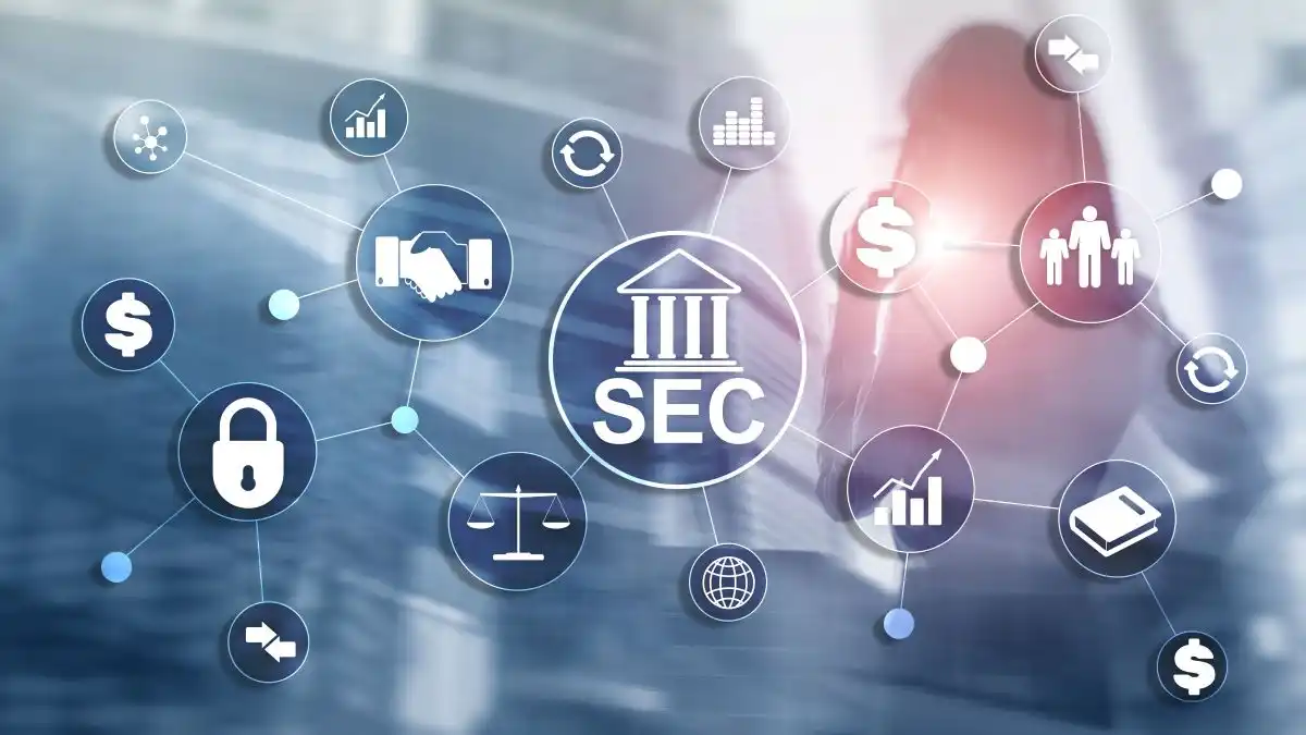Security Exchange Committee SEC. Independent agency of the United States federal government.  Used in The Vital Role of Regulatory Bodies