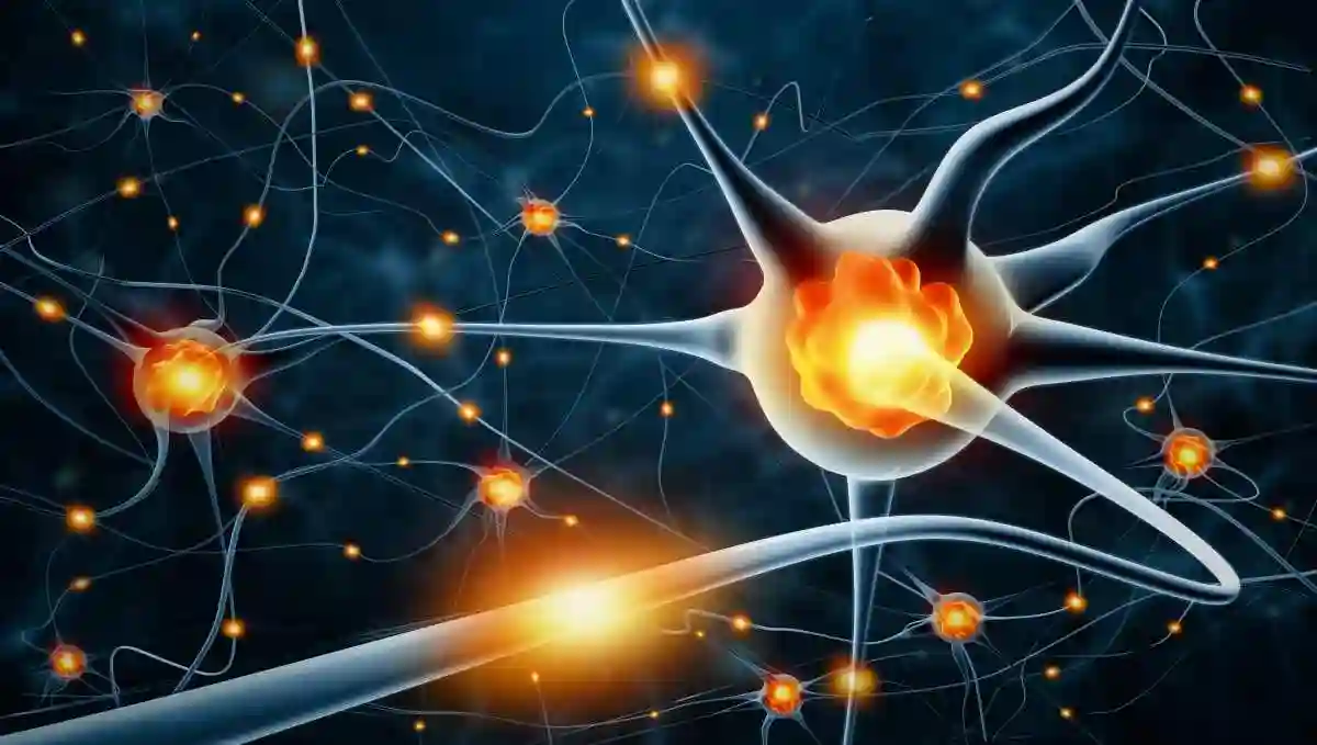 Active nerve cells; 3d illustration 