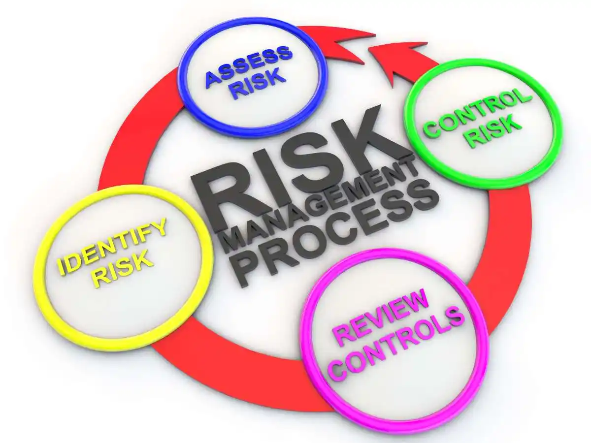 Chart of risk management process used in Robust Corporate Governance Through Securities Litigation
