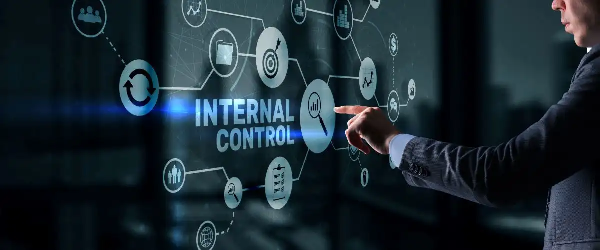 Internal control on virtual screen. Accounting and audit used in Role of Regulatory Bodies in Securities Litigation